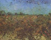 Vincent Van Gogh The Green Vineyard (nn04) oil painting picture wholesale